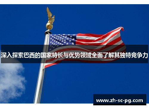深入探索巴西的国家特长与优势领域全面了解其独特竞争力