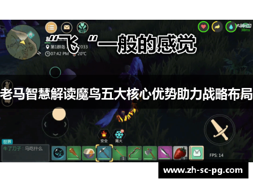 老马智慧解读魔鸟五大核心优势助力战略布局