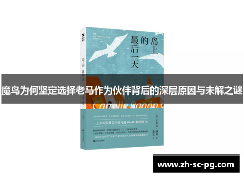 魔鸟为何坚定选择老马作为伙伴背后的深层原因与未解之谜