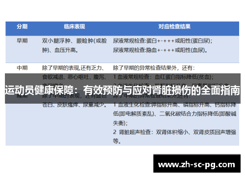 运动员健康保障:有效预防与应对肾脏损伤的全面指南 运动员健康保障:有效预防与应对肾脏损伤的全面指南