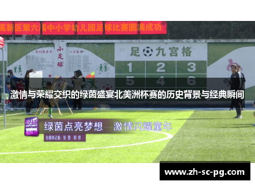 激情与荣耀交织的绿茵盛宴北美洲杯赛的历史背景与经典瞬间