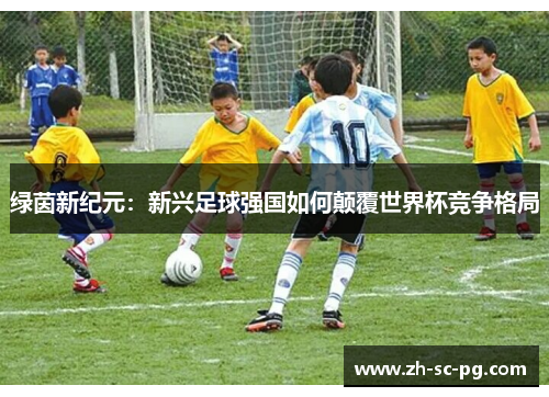 绿茵新纪元：新兴足球强国如何颠覆世界杯竞争格局