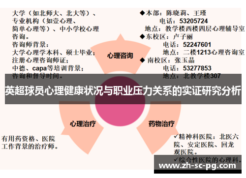 英超球员心理健康状况与职业压力关系的实证研究分析