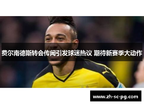费尔南德斯转会传闻引发球迷热议 期待新赛季大动作 费尔南德斯转会传闻引发球迷热议 期待新赛季大动作