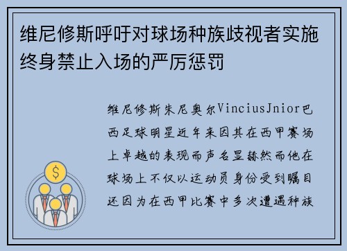 维尼修斯呼吁对球场种族歧视者实施终身禁止入场的严厉惩罚 维尼修斯呼吁对球场种族歧视者实施终身禁止入场的严厉惩罚